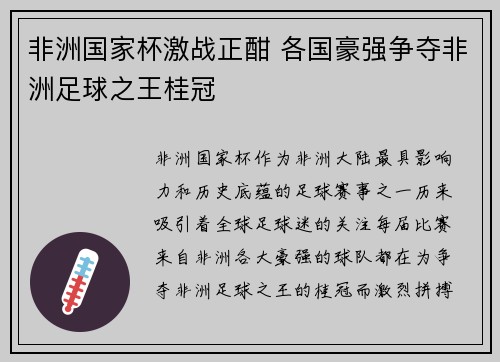 非洲国家杯激战正酣 各国豪强争夺非洲足球之王桂冠